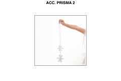 ACC.-PRISMA-2