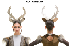 ACC.-RENSKYR