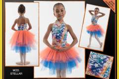 SHOW-DANCE-2016-93_STELLAR-big