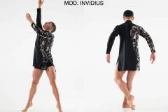 INVIDIUS
