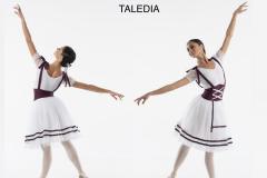 TALEDIA