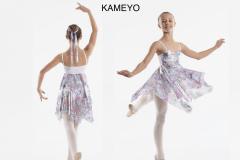 KAMEYO