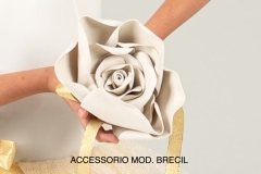 ACCESSORIO-MOD.-BRECIL