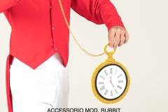 ACCESSORIO-MOD.-RUBBIT