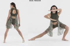 SHOW-DANCE-2017-FRAGOR